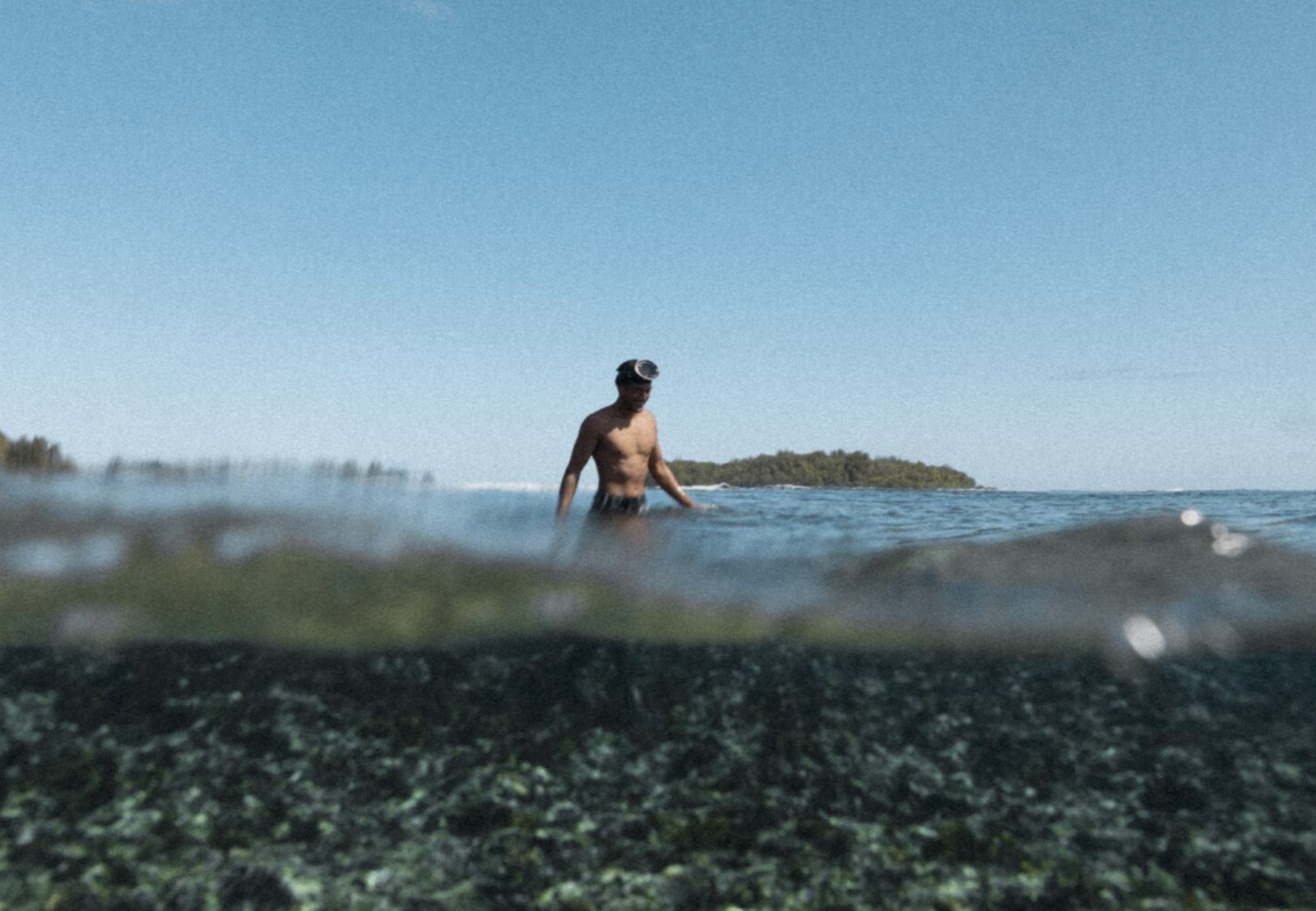 Comptoir Sud Pacifique et les fragrances marines