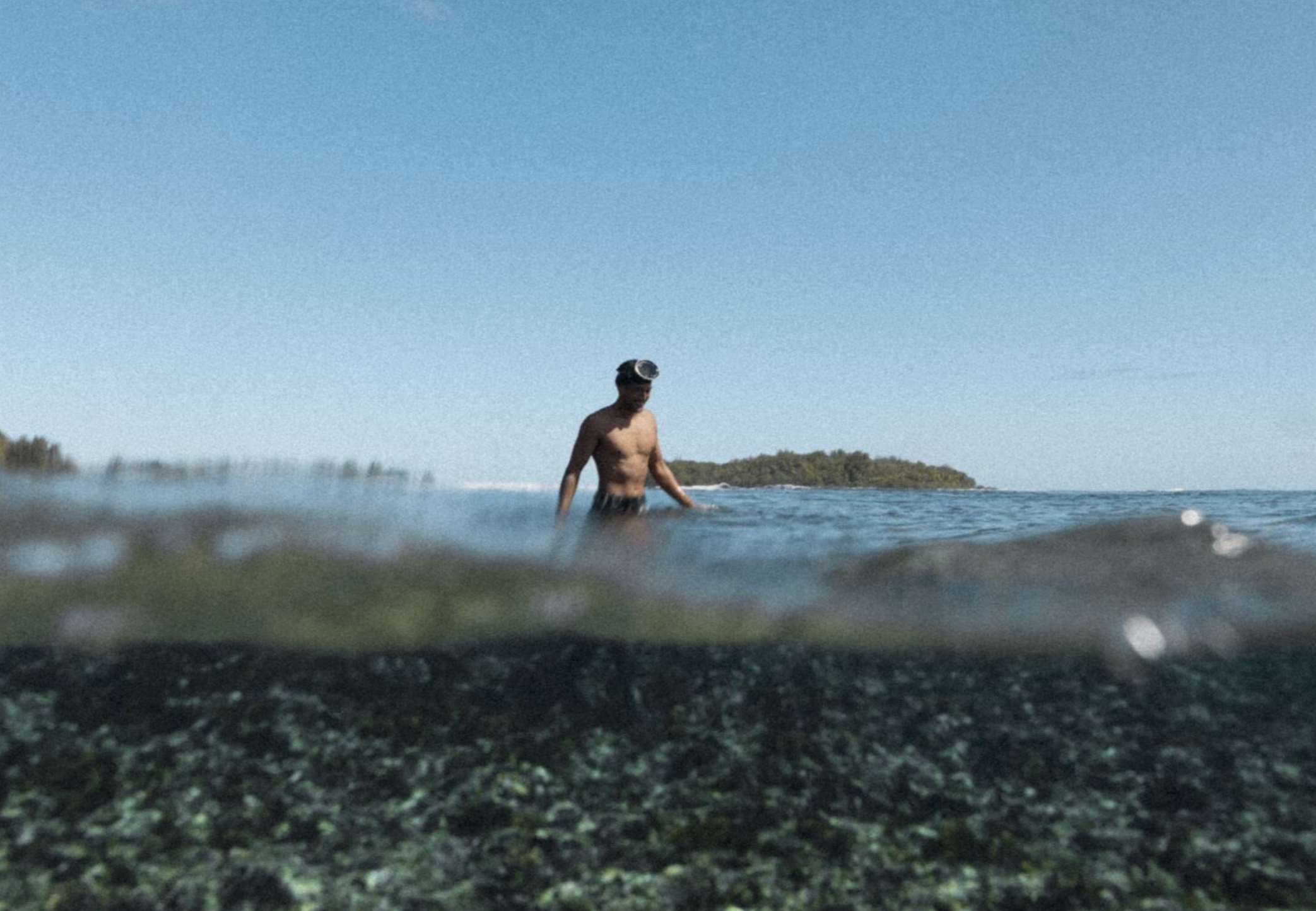 Comptoir Sud Pacifique et les fragrances marines